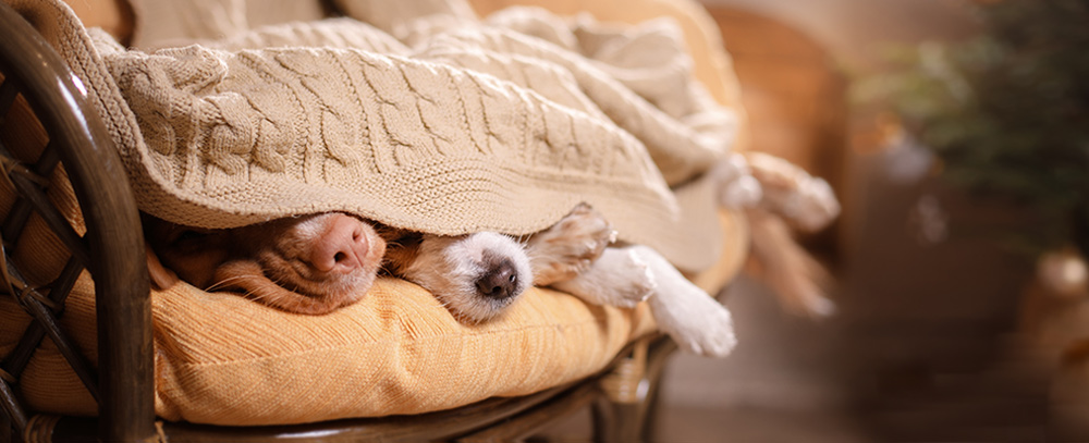 weihnachten4